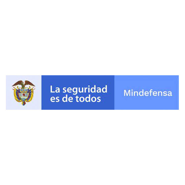 MINISTERIO DE DEFENSA