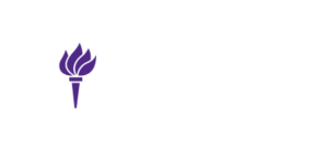 Curso Odontología Estética NYU 2026 Curso Odontología Estética NYU 2026